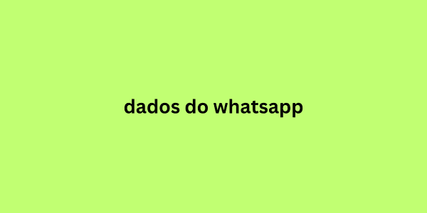 dados do whatsapp