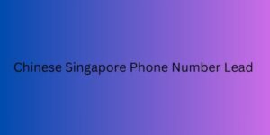 Chinese Singapore Phone Number Lead