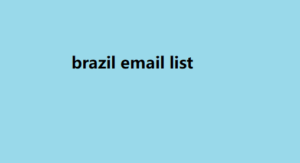 brazil email list