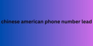 chinese american phone number lead