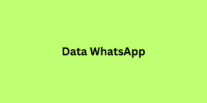 data whatsapp