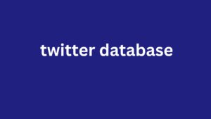 twitter database