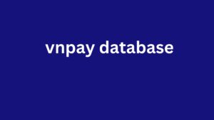 vnpay database