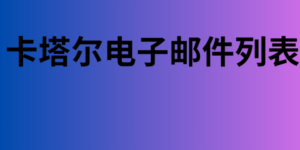 卡塔尔电子邮件列表