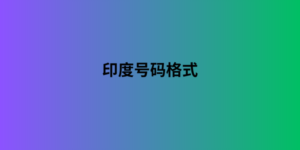 印度号码格式