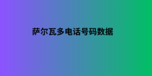 萨尔瓦多电话号码数据