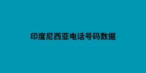 印度尼西亚电话号码数据