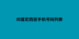 印度尼西亚手机号码列表